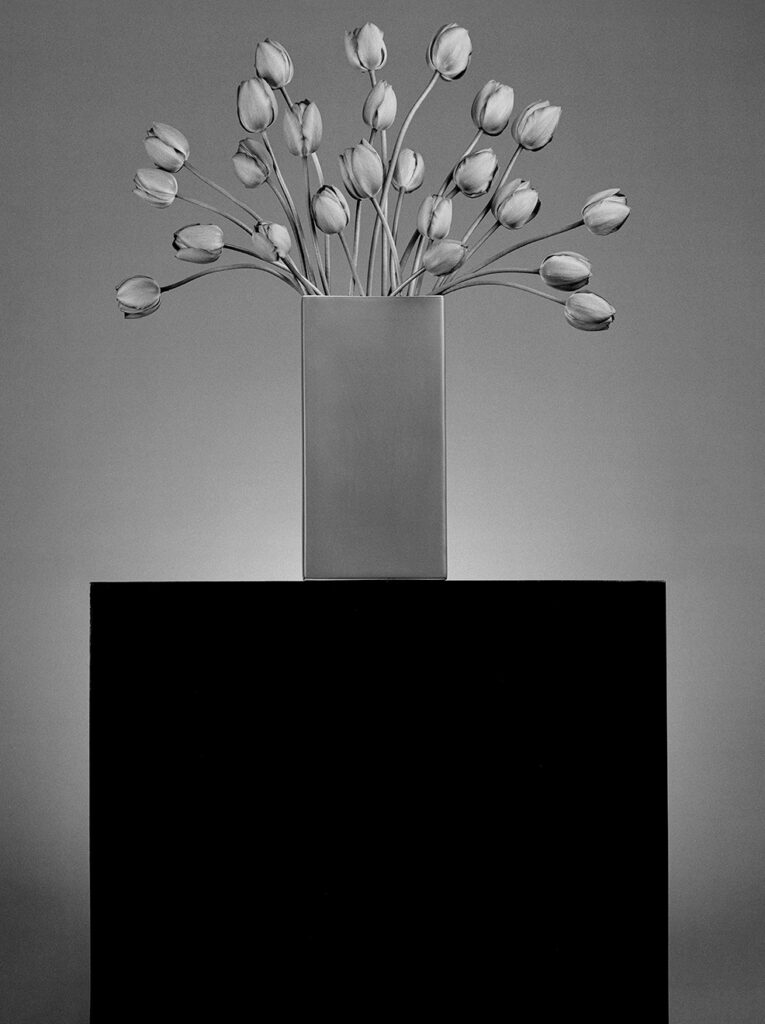 Tulbid Malevich 1998